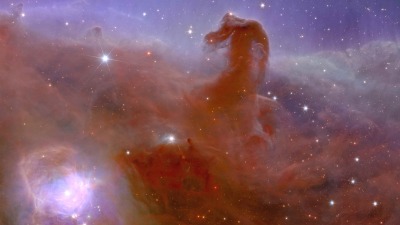 تُظهر سديماً يشبه رأس حصان.. تلسكوب "إقليدس" ينشر أولى صوره للكون