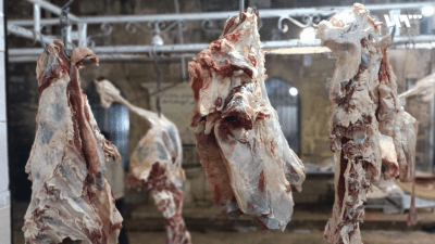 محل لبيع اللحوم في اعزاز بريف حلب - تلفزيون سوريا