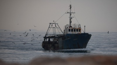 قارب صيد يصل إلى ميناء شينغجين ألبانيا (رويترز)