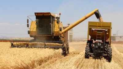 سوريا تحتل المرتبة الرابعة عربياً في الإنتاج.. ما أكبر الدول المستوردة للقمح؟ 